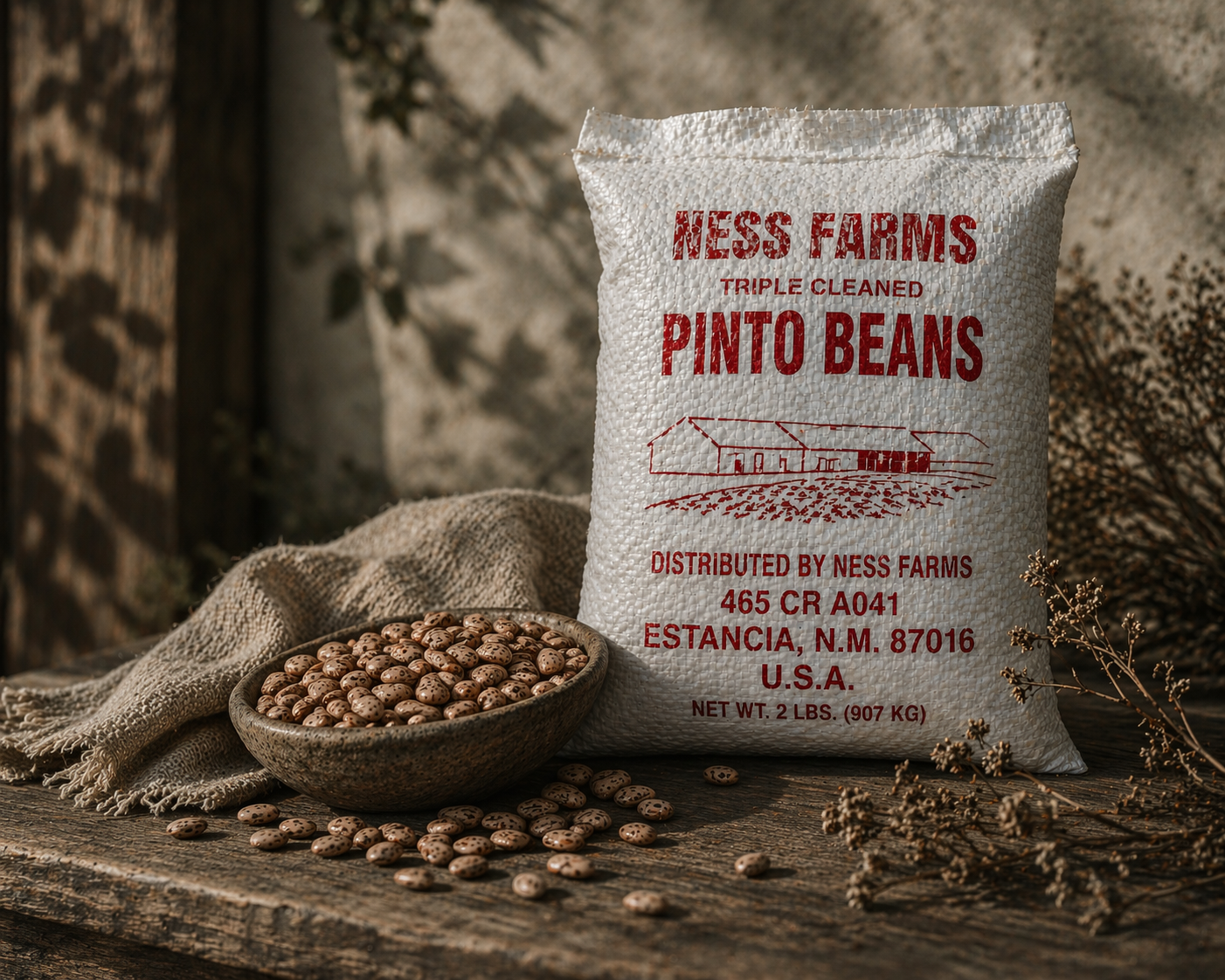 Farm-Grown Estancia Valley Dried Pinto Beans